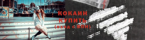 молекула духа Пестово
