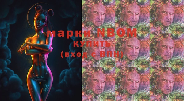 молекула духа Пестово