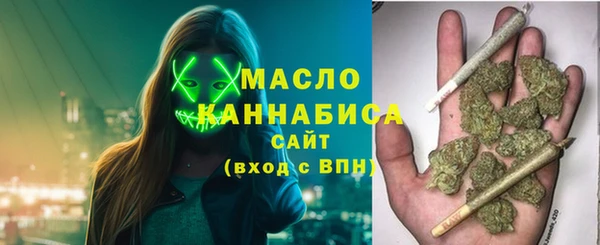 молекула духа Пестово