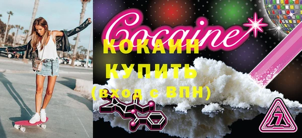 молекула духа Пестово