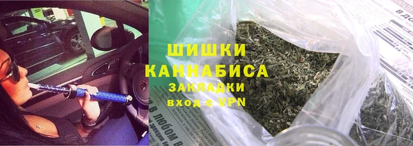 молекула духа Пестово
