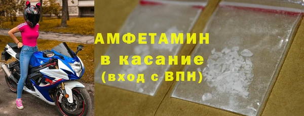 молекула духа Пестово
