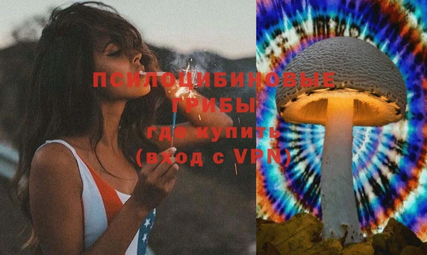 молекула духа Пестово