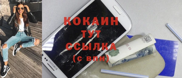 молекула духа Пестово