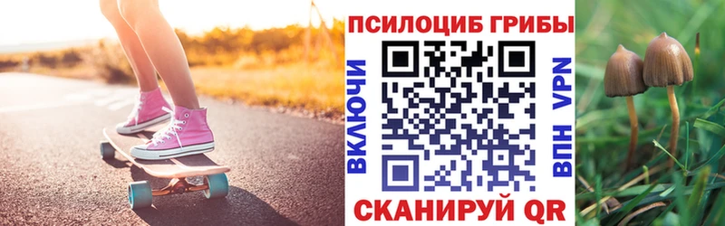 Псилоцибиновые грибы Magic Shrooms  Ртищево 